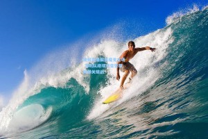 视频直播聚焦魔鬼主场 深圳队绝境求变誓取反弹关键战